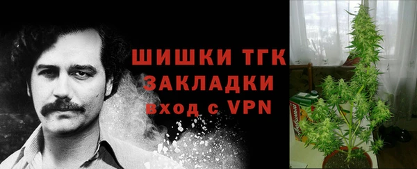 Альфа ПВП Бородино