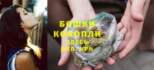Альфа ПВП Бородино