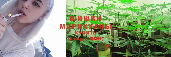 Альфа ПВП Бородино